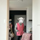 다라니농장 이미지