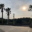 비자림라파 이미지