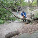 청학12리 이미지