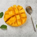 학장과일 이미지