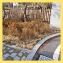새말유치원 | 반사경설치 유치원 어린이보호구역 거울시공