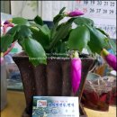 새재왕건식당 이미지