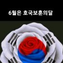 🇰🇷높아진 한국의 위상(2)!!🦋 이미지