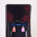 이오니아 이미지