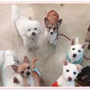 아이조아요양보호소 대구점 이미지