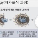 메디헬프 이미지