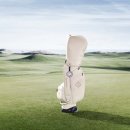 올 어라운드 이미지