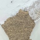 물야초등학교 개단분교장 이미지