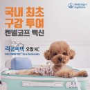 에코 켄넬 이미지