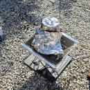 산들애 | [강화도] 산들애캠핑장 24번사이트 이용 후기🏕