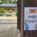 GS25 진접부평리점 | 남양주 봉선사 연꽃(위치, 주차, 개화상황, 연꽃축제, 카페, 맛집), 광릉숲길