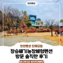 송이도친환경가족펜션 | 천안펜션 추천 겨울의 고즈넉함을 선사한 장승배기농장체험펜션 방문 솔직한 후기