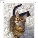 아이조아 요양보호소 서울점 이미지