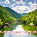 귀티나 Daum카페