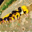 홍익농장 이미지