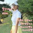 알리바이 | 알리바이 변색 스포츠 골프 선글라스 추천 라운딩 후기