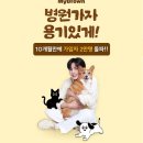브라운동물병원 EBN산업경제