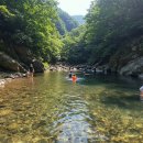 수락베이스캠프 | 대전 근교 아이와 갈만한 계곡, '운주계곡 솔밭가든' N년차 방문자의 솔직 후기!