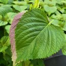 노엘농장 이미지