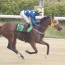 경마공원 이미지