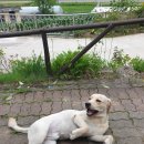 아이조아요양보호소 동탄점 이미지