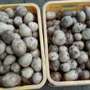 파삭파삭 이미지