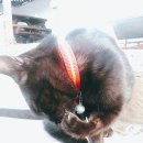 팔도민박 이미지