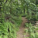 약진로변 이미지