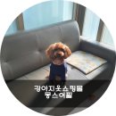 몽스어필