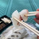 동해안회센타 | 주문진맛집 찐수산 동해안특선모듬회 포장 후기