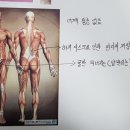 신쌤 피트니스 이미지