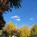 율석2리 마을회관 이미지