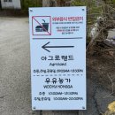 당진 승마장 | 🌸🩷4월의 봄 ‘아그로랜드 태신목장’ 입장료 및 운영시간, 체험권 이용요금 안내:)