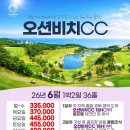 오션비치 이미지