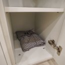 에스테티아전주완산