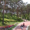 장곡펜션 이미지