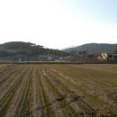 장산2리 이미지