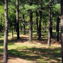 읍내공원 앞 이미지