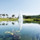 디아너스 이미지