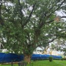 호텔 이프 이미지