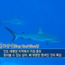 바다정원 이미지