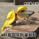 나무와숲어린이집 | 시흥 숲체험 1세 2세 어린이집 유아숲놀이