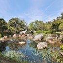 보길도 윤선도 원림 이미지