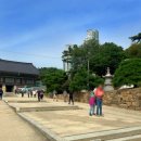 도심속에하루 | 서울 가족 여행 꼭 다녀와야 할 도심 속 힐링 명소 봉은사 방문 후기