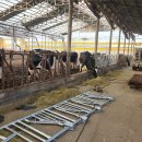 축사 신축공사 이미지