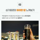 여행사 하나로드 이미지