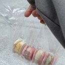 수내 마카롱 맛집 "송송카롱" 후기