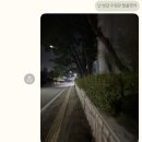 파티앤 캣 | 10월｡:°ஐ*｡