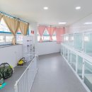 도그미용실 이미지