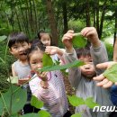 대아수목원 유아숲체험원 이미지
